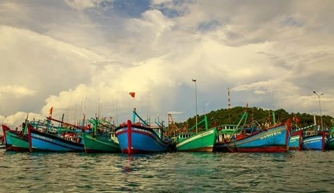 Binh Thuan oeuvre pour mettre fin à la pêche INN