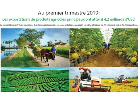 Les exportations de produits agricoles principaux ont atteint 4,2 milliards d’USD au 1er trimestre 