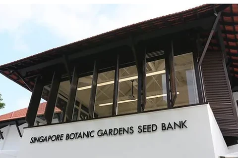 Singapour crée sa première banque de graines