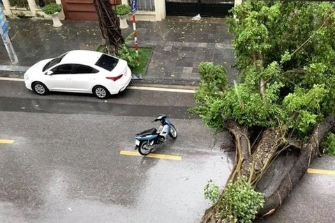 Tempête Wipha : un mort et 15 disparus