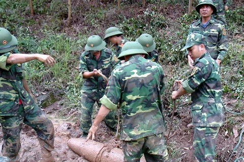 Soutien de la subsistance pour les victimes des bombes et des mines au Vietnam