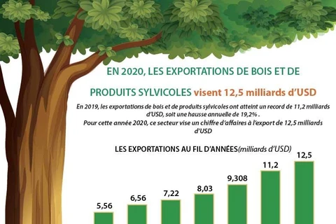 En 2020, les exportations de bois et de produits sylvicoles visent 12,5 milliards d’USD