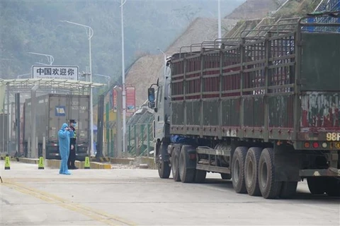 COVID-19 : la porte frontalière de Tan Thanh reprend offiellement ses opérations de dédouanement