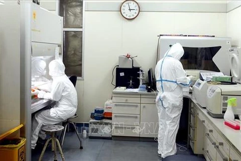 COVID-19 : le Vietnam aura 30 laboratoires capables d’effectuer des tests de dépistage