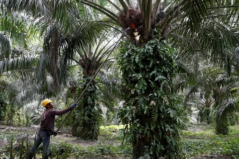 La Malaisie et l’Inde vont travailler à l’amélioration de leurs relations