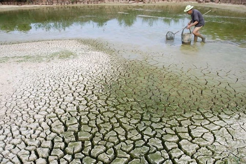 Evaluer la Stratégie nationale sur le changement climatique