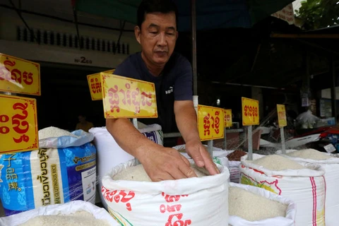 Cambodge : les exportations de riz augmentent malgré les intempéries