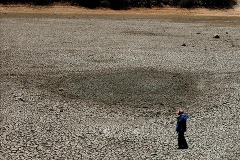 Renforcer la résilience à la sécheresse en Asie du Sud-Est