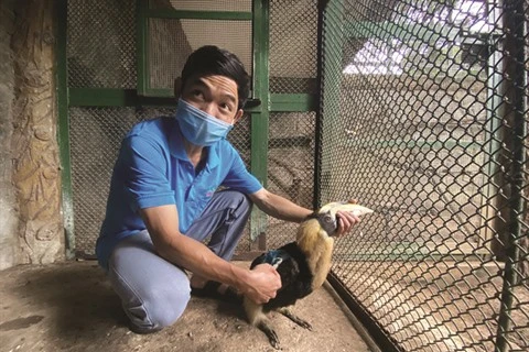 À Thao Câm Viên, les animaux sont aidés pour surmonter la crise du COVID-19