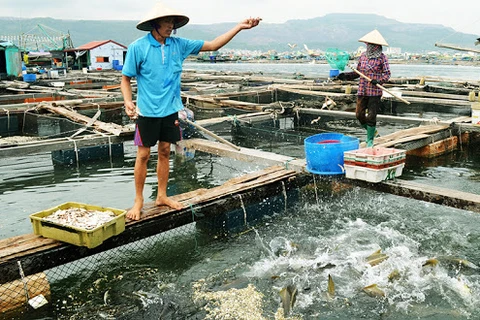 Mise en chantier d’une usine de production des aliments pour l'aquaculture à Long An