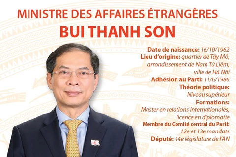 Ministre des Affaires étrangères Bui Thanh Son