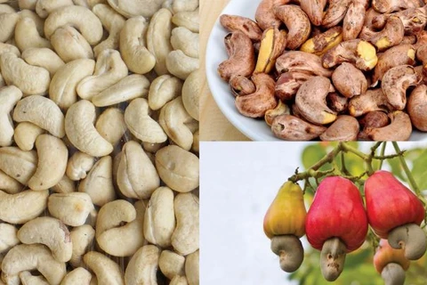 Les noix de cajou vietnamiennes dominent le marché turc