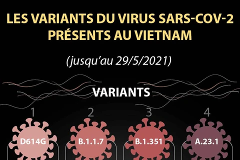 Les huit variants du virus SARS-CoV-2 présents au Vietnam jusqu’au 29 mai