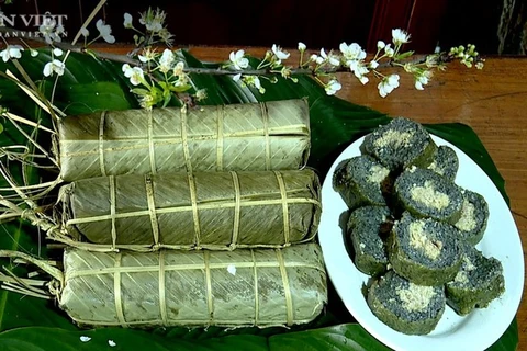 Le banh chung aux plantes médicinales des Muong de Phu Tho