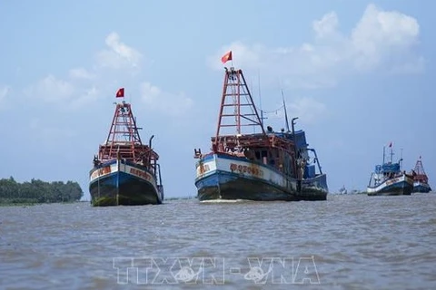Kien Giang s'efforce de mettre fin à la pêche illégale pour faire retirer le "carton jaune" de la CE