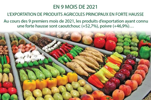 EN 9 MOIS : L’EXPORTATION DE PRODUITS AGRICOLES PRINCIPAUX EN FORTE HAUSSE