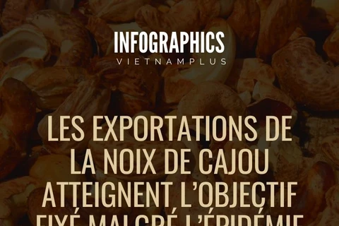 Les exportations de la noix de cajou atteignent l’objectif fixé malgré l’épidémie