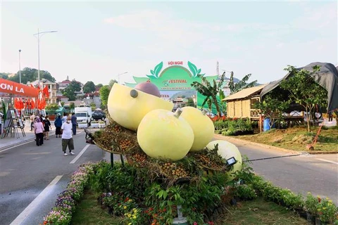 Le PM assiste au festival des fruits et légumes et des produits OCOP à Son La