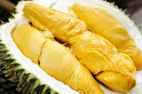 Le Vietnam pourrait exporter cette année des durians vers la Chine