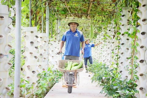 Bac Giang s'efforce d'augmenter la valeur de la production agricole