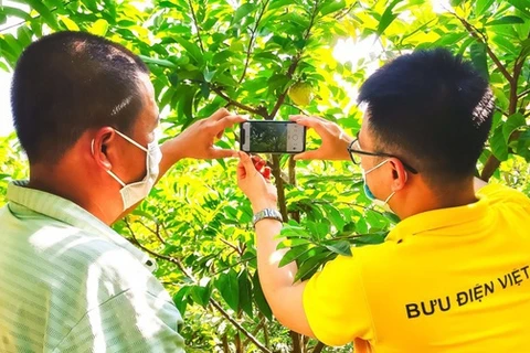Une formation sur le commerce électronique pour les agriculteurs de Hung Yen