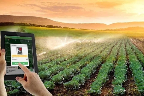 Vers une agriculture durable grâce aux applications scientifique et technologique