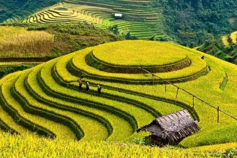 Baie d’Ha Long et Mu Cang Chai parmi les destinations les plus colorées du monde