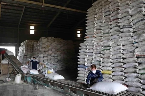 Les prix du riz vietnamien à leur plus haut niveau depuis 2 ans