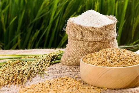 Efforts pour porter les exportations de riz à 7 millions de tonnes en 2023 