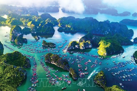 La baie d'Ha Long – archipel de Cat Ba reconnu par l’UNESCO patrimoine naturel mondial