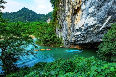 Le Parc national Phong Nha - Ke Bang, parcours de 20 ans de préservation du patrimoine mondial