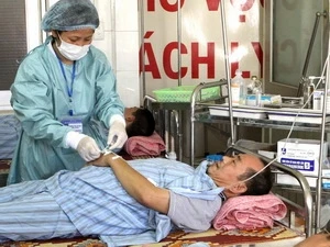 Vietnam-USAID : coopération dans la lutte contre les épidémies 