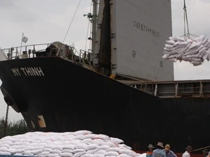 Le Vietnam va exporter 50.000 tonnes de riz en Sierra Leone 
