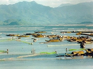La zone de marais et de lagunes de Tam Giang-Cau Hai. (Source: Internet)