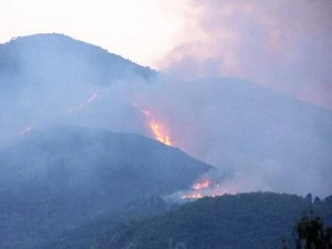 Un incendie dans la forêt à usage spécifique de Nam Hải Vân. (Photo: Tran Le Lem/AVI)