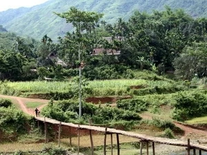La Réserve naturelle de Pù Luông (Source: Internet)