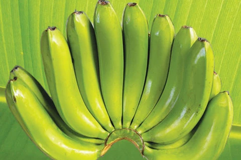 Des bananes de LaBa. (Source: Internet) 