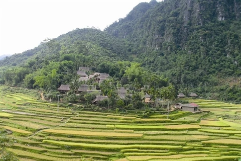 La Réserve naturelle de Pù Luông. Source: AVI