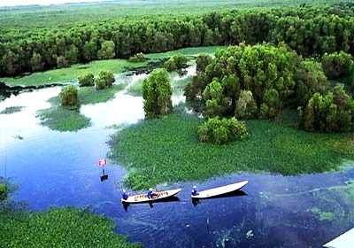 Le parc national de Mui Ca Mau (Source: Internet)