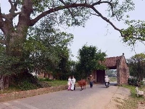 La porte du village de Duong Lam. (Source: VNA)