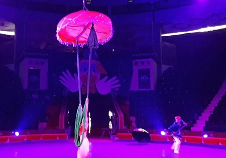 La troupe du cirque du Vietnam a remporté une médaille d’or pour son numéro de trapèze. Photo : Internet