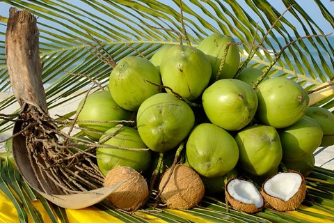 La noix de coco. Photo : Internet