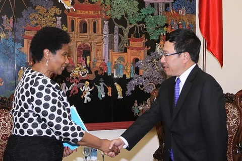 Le vice-PM et ministre des Affaires étrangères Pham Binh Minh reçoit la secrétaire générale adjointe de l'ONU, Mme Phumzile Mlambo-Ngcuka.