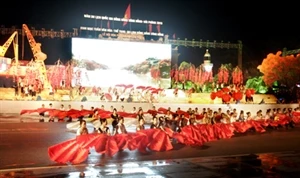 Le Festival de "Hoa Phuong Do" à Hai Phong 2013. Photo : VNA 