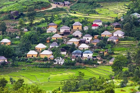 Maisons en torchis de l’ethnie Hà Nhi. Photo : Phuong Hoa/VNA