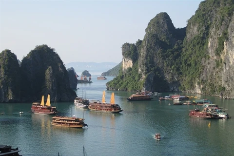 La baie de Ha Long, province de Quang Ninh, l’une des septs Nouvelles Merveilles naturelles du monde. Photo : VNA