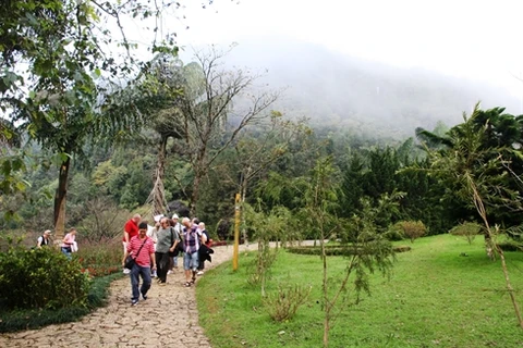 Des touristes au mont de Hàm Rông, district de Sa Pa, province de Lào Cai (Nord).