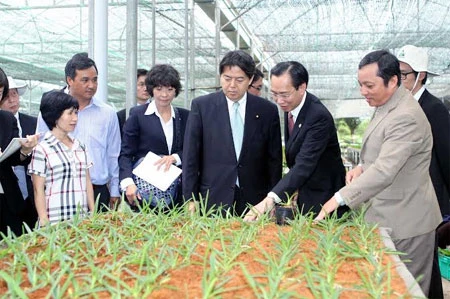 La délégation japonaise visite le Parc agricole de hautes technologies de Hô Chi Minh-Ville. (Source : VNA) 