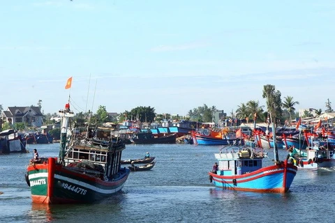 Les bateaux des pêcheurs de Quảng Ngãi au port de Sa Kỳ. (Photo: Huy Hùng/VNA)