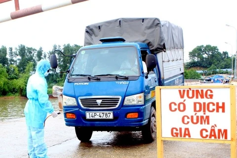 La désinfection des moyens de transport dans la zone d'épidemie. Photo : VNA